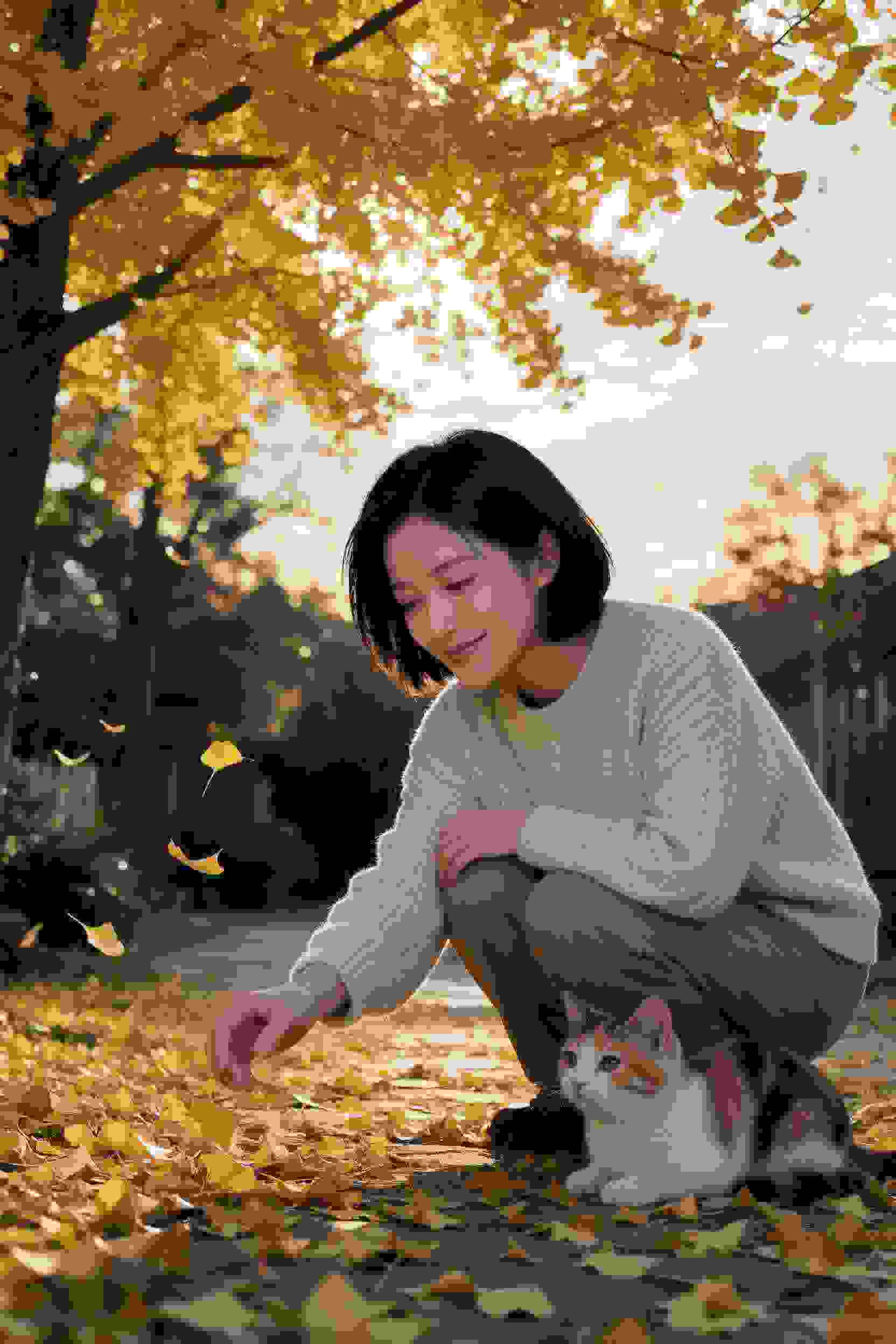 医术秘传